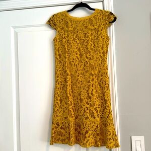 Few Moda XS mini dress, golden yellow lace